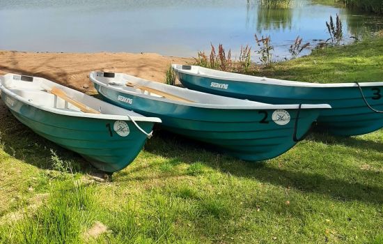 Soutuveneellä yksityiselle saarelle